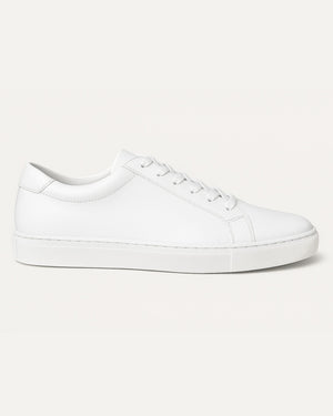 Low Top Signature Sneakers